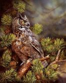 Twilight-Great-Horned-Owl-591